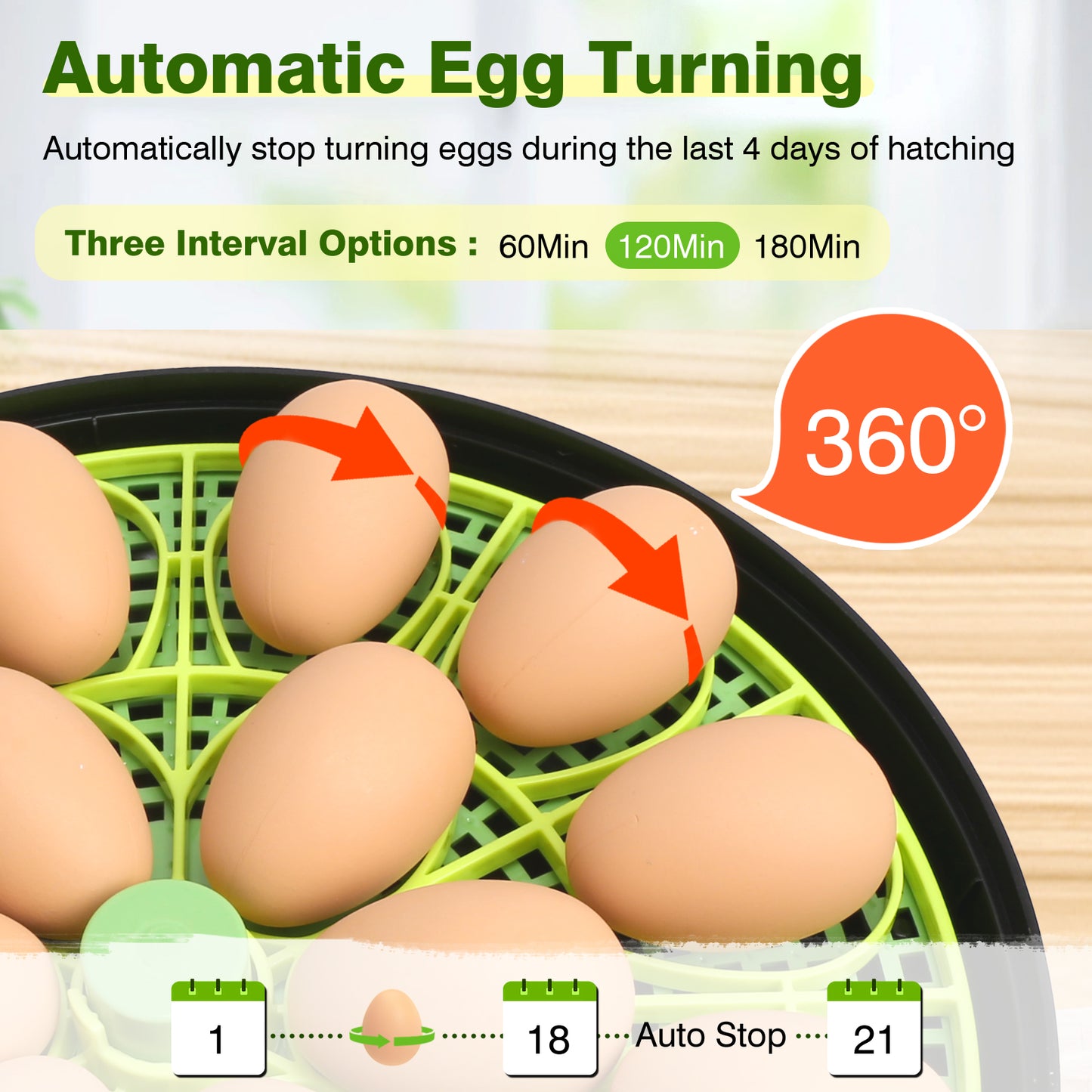 Egg Incubator for Hatching Eggs, 18 Egg Incubator with Temperature Control, Humidity Display, Auto Egg Turner, Egg Candler, 2 Size Egg Trays, Digital Incubator for Chicken, Quail